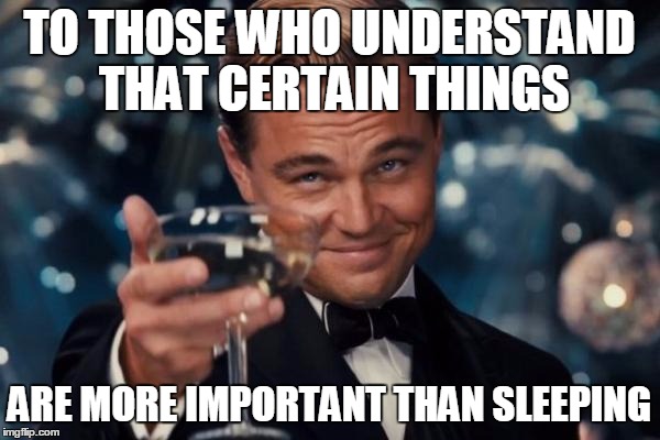 Leonardo Dicaprio Cheers Meme | TO THOSE WHO UNDERSTAND THAT CERTAIN THINGS ARE MORE IMPORTANT THAN SLEEPING | image tagged in memes,leonardo dicaprio cheers | made w/ Imgflip meme maker