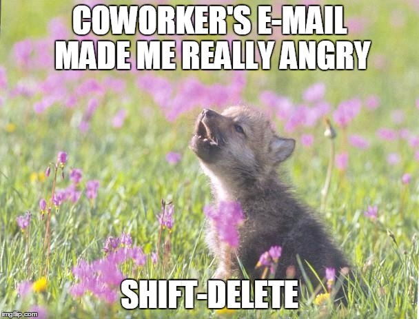 Baby Insanity Wolf | COWORKER'S E-MAIL MADE ME REALLY ANGRY SHIFT-DELETE | image tagged in memes,baby insanity wolf | made w/ Imgflip meme maker