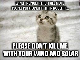 Sad Cat Meme | WIND AND SOLAR EACH KILL MORE PEOPLE PER KILOWATT THAN NUCLEAR.... PLEASE DON'T KILL ME WITH YOUR WIND AND SOLAR | image tagged in memes,sad cat | made w/ Imgflip meme maker