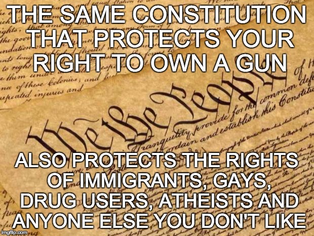 Constitution | THE SAME CONSTITUTION THAT PROTECTS YOUR RIGHT TO OWN A GUN ALSO PROTECTS THE RIGHTS OF IMMIGRANTS, GAYS, DRUG USERS, ATHEISTS AND ANYONE EL | image tagged in constitution | made w/ Imgflip meme maker