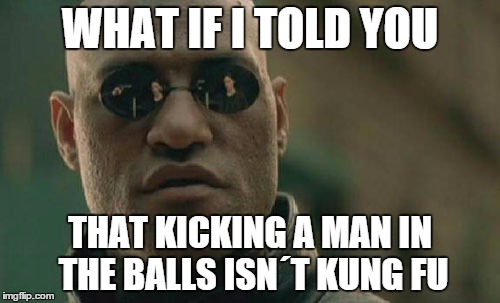 Matrix Morpheus | WHAT IF I TOLD YOU THAT KICKING A MAN IN THE BALLS ISN´T KUNG FU | image tagged in memes,matrix morpheus | made w/ Imgflip meme maker