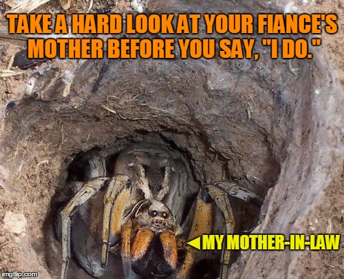 My Mother-In-Law | TAKE A HARD LOOK AT YOUR FIANCE'S MOTHER BEFORE YOU SAY, "I DO." ◄MY MOTHER-IN-LAW | image tagged in your fiance's mother,take a hard look at your girlfriend's mother,getting married,vince vance,frightening mother-in-laws,scary c | made w/ Imgflip meme maker