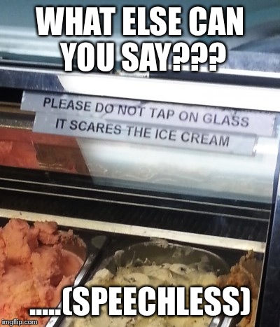All I Can Say Is... WTF??! | WHAT ELSE CAN YOU SAY??? .....(SPEECHLESS) | image tagged in ice cream,wtf,funny sign | made w/ Imgflip meme maker