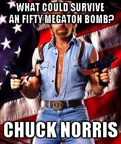 chuck norris | WHAT COULD SURVIVE AN FIFTY MEGATON BOMB? CHUCK NORRIS | image tagged in chuck norris | made w/ Imgflip meme maker