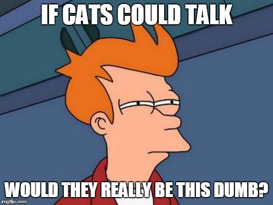 Futurama Fry Meme | IF CATS COULD TALK WOULD THEY REALLY BE THIS DUMB? | image tagged in memes,futurama fry | made w/ Imgflip meme maker