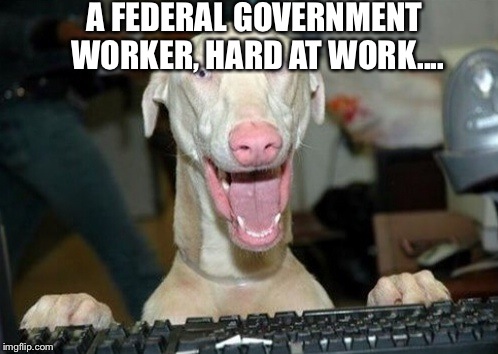 Computer Dog | A FEDERAL GOVERNMENT WORKER, HARD AT WORK.... | image tagged in computer dog | made w/ Imgflip meme maker