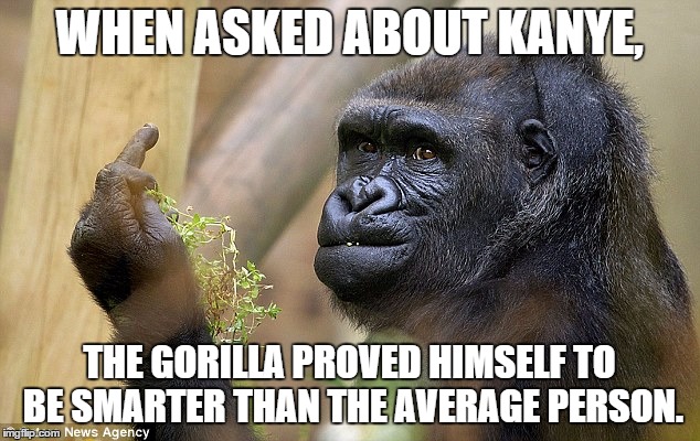 WHEN ASKED ABOUT KANYE, THE GORILLA PROVED HIMSELF TO BE SMARTER THAN THE AVERAGE PERSON. | image tagged in f-you gorilla | made w/ Imgflip meme maker