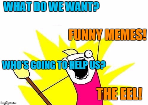 X All The Y Meme | WHAT DO WE WANT? THE EEL! FUNNY MEMES! WHO'S GOING TO HELP US? | image tagged in memes,x all the y | made w/ Imgflip meme maker