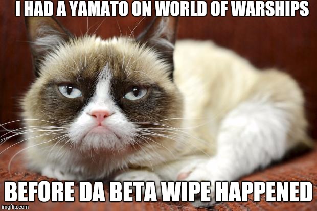 Grumpycat | I HAD A YAMATO ON WORLD OF WARSHIPS BEFORE DA BETA WIPE HAPPENED | image tagged in grumpycat | made w/ Imgflip meme maker