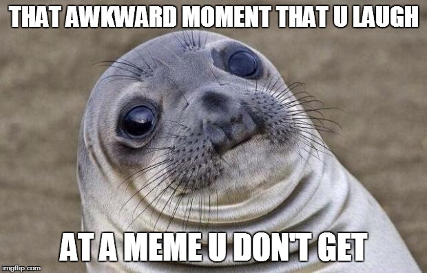 Awkward Moment Sealion Meme | THAT AWKWARD MOMENT THAT U LAUGH AT A MEME U DON'T GET | image tagged in memes,awkward moment sealion | made w/ Imgflip meme maker