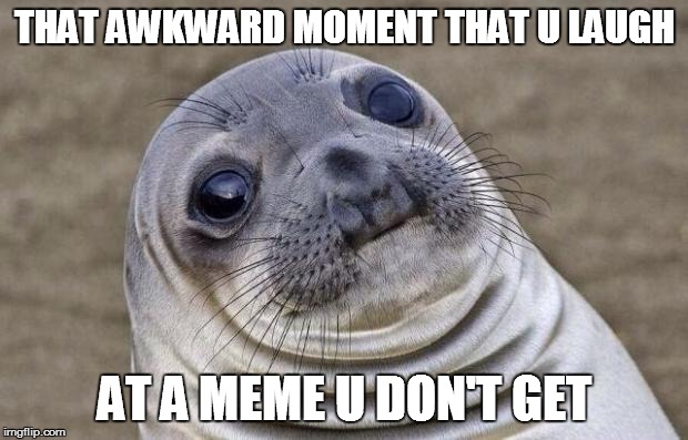 Awkward Moment Sealion | THAT AWKWARD MOMENT THAT U LAUGH AT A MEME U DON'T GET | image tagged in memes,awkward moment sealion | made w/ Imgflip meme maker