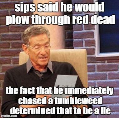 Maury Lie Detector Meme | sips said he would plow through red dead the fact that he immediately chased a tumbleweed determined that to be a lie | image tagged in memes,maury lie detector,sips | made w/ Imgflip meme maker