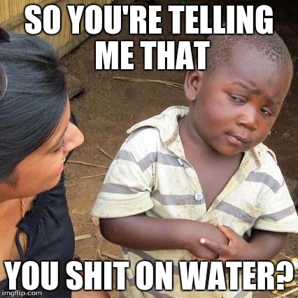 Third World Skeptical Kid Meme | SO YOU'RE TELLING ME THAT YOU SHIT ON WATER? | image tagged in memes,third world skeptical kid | made w/ Imgflip meme maker