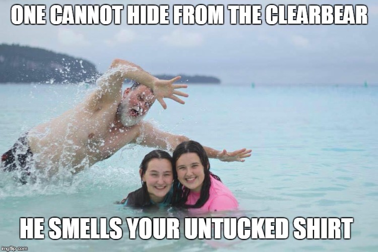ONE CANNOT HIDE FROM THE CLEARBEAR HE SMELLS YOUR UNTUCKED SHIRT | image tagged in memes | made w/ Imgflip meme maker