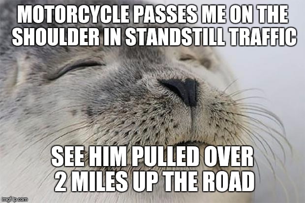 Satisfied Seal Meme | MOTORCYCLE PASSES ME ON THE SHOULDER IN STANDSTILL TRAFFIC SEE HIM PULLED OVER 2 MILES UP THE ROAD | image tagged in memes,satisfied seal,AdviceAnimals | made w/ Imgflip meme maker