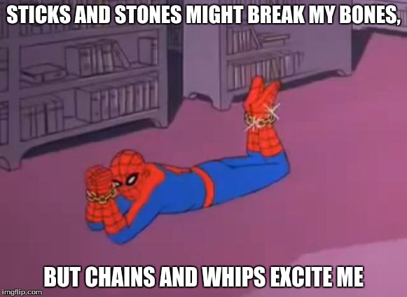 spiderman stick and stones | STICKS AND STONES MIGHT BREAK MY BONES, BUT CHAINS AND WHIPS EXCITE ME | image tagged in spiderman stick and stones | made w/ Imgflip meme maker