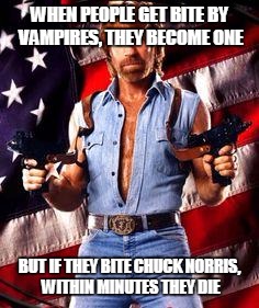 chuck norris | WHEN PEOPLE GET BITE BY VAMPIRES, THEY BECOME ONE BUT IF THEY BITE CHUCK NORRIS, WITHIN MINUTES THEY DIE | image tagged in chuck norris | made w/ Imgflip meme maker