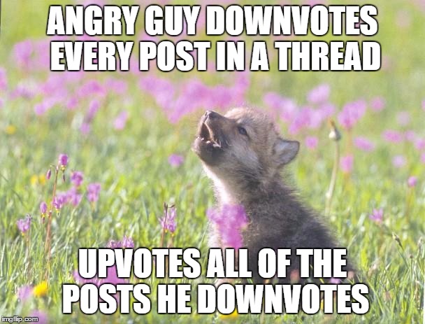 Baby Insanity Wolf Meme | ANGRY GUY DOWNVOTES EVERY POST IN A THREAD UPVOTES ALL OF THE POSTS HE DOWNVOTES | image tagged in memes,baby insanity wolf | made w/ Imgflip meme maker