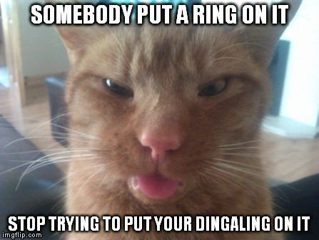 derpcat | SOMEBODY PUT A RING ON IT STOP TRYING TO PUT YOUR DINGALING ON IT | image tagged in derpcat | made w/ Imgflip meme maker
