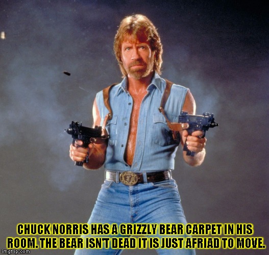 Chuck Norris Guns Meme | CHUCK NORRIS HAS A GRIZZLY BEAR CARPET IN HIS ROOM. THE BEAR ISN'T DEAD IT IS JUST AFRIAD TO MOVE. | image tagged in chuck norris | made w/ Imgflip meme maker