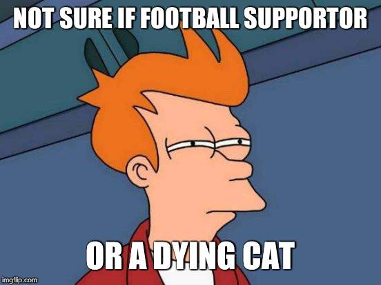 Futurama Fry | NOT SURE IF FOOTBALL SUPPORTOR OR A DYING CAT | image tagged in memes,futurama fry | made w/ Imgflip meme maker