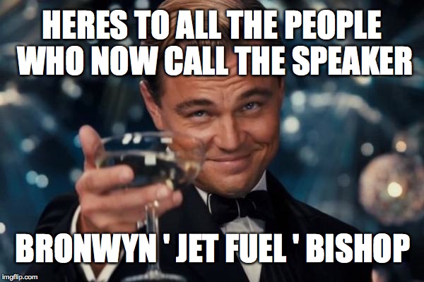 Leonardo Dicaprio Cheers | HERES TO ALL THE PEOPLE WHO NOW CALL THE SPEAKER BRONWYN ' JET FUEL ' BISHOP | image tagged in memes,leonardo dicaprio cheers | made w/ Imgflip meme maker