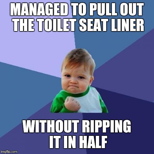 I wish this was true, but I always rip them in half. | MANAGED TO PULL OUT THE TOILET SEAT LINER WITHOUT RIPPING IT IN HALF | image tagged in memes,success kid | made w/ Imgflip meme maker