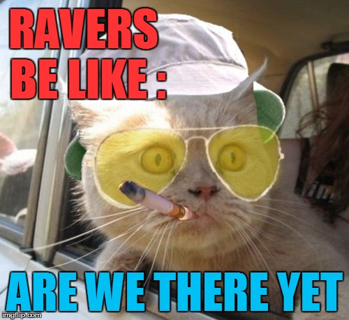 ravers be like | RAVERS BE LIKE : ARE WE THERE YET | image tagged in memes,fear and loathing cat,drugs cat,drugs,rave | made w/ Imgflip meme maker
