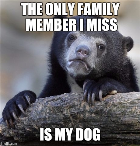 Confession Bear | THE ONLY FAMILY MEMBER I MISS IS MY DOG | image tagged in memes,confession bear,AdviceAnimals | made w/ Imgflip meme maker