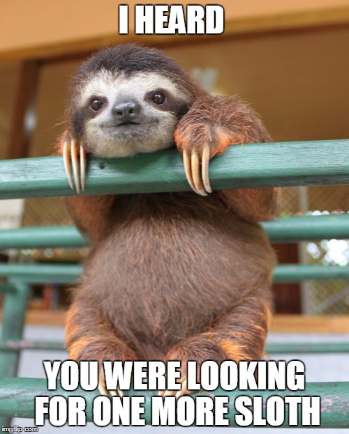 Sloth | I HEARD YOU WERE LOOKING FOR ONE MORE SLOTH | image tagged in sloth | made w/ Imgflip meme maker