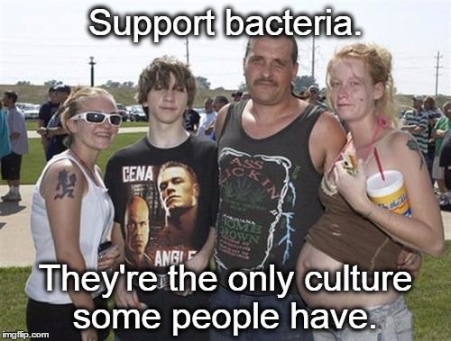 WhiteTrash | Support bacteria. They're the only culture some people have. | image tagged in whitetrash | made w/ Imgflip meme maker