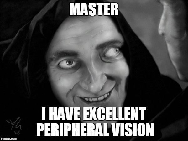 Peripheral vision | MASTER I HAVE EXCELLENT PERIPHERAL VISION | image tagged in marty feldman extropia eyes,memes | made w/ Imgflip meme maker