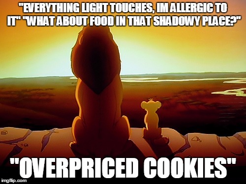 Lion King Meme | "EVERYTHING LIGHT TOUCHES, IM ALLERGIC TO IT" "WHAT ABOUT FOOD IN THAT SHADOWY PLACE?" "OVERPRICED COOKIES" | image tagged in memes,lion king | made w/ Imgflip meme maker