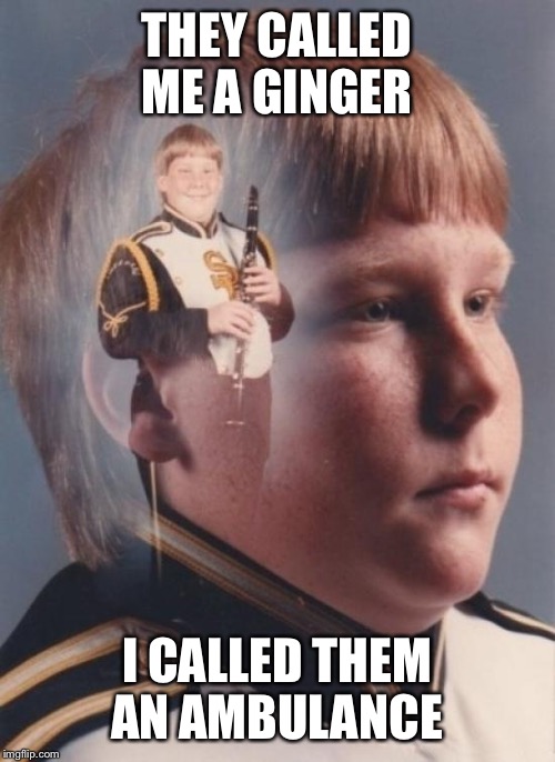 PTSD Clarinet Boy Meme | THEY CALLED ME A GINGER I CALLED THEM AN AMBULANCE | image tagged in memes,ptsd clarinet boy | made w/ Imgflip meme maker