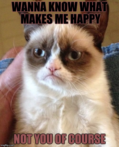 Grumpy Cat Meme | WANNA KNOW WHAT MAKES ME HAPPY NOT YOU OF COURSE | image tagged in memes,grumpy cat | made w/ Imgflip meme maker