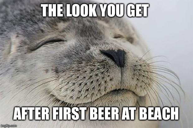 Satisfied Seal | THE LOOK YOU GET AFTER FIRST BEER AT BEACH | image tagged in memes,satisfied seal | made w/ Imgflip meme maker
