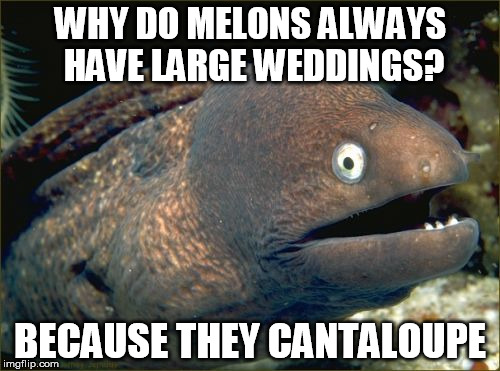 Bad Joke Eel | WHY DO MELONS ALWAYS HAVE LARGE WEDDINGS? BECAUSE THEY CANTALOUPE | image tagged in memes,bad joke eel | made w/ Imgflip meme maker