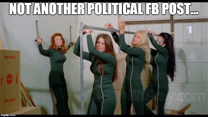 NOT ANOTHER POLITICAL FB POST... | image tagged in prizon girlz | made w/ Imgflip meme maker