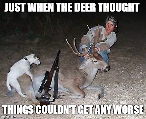 JUST WHEN THE DEER THOUGHT THINGS COULDN'T GET ANY WORSE | image tagged in horny dog dead deer,memes | made w/ Imgflip meme maker