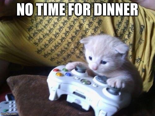 Cat on Xbox | NO TIME FOR DINNER | image tagged in cat on xbox,memes | made w/ Imgflip meme maker
