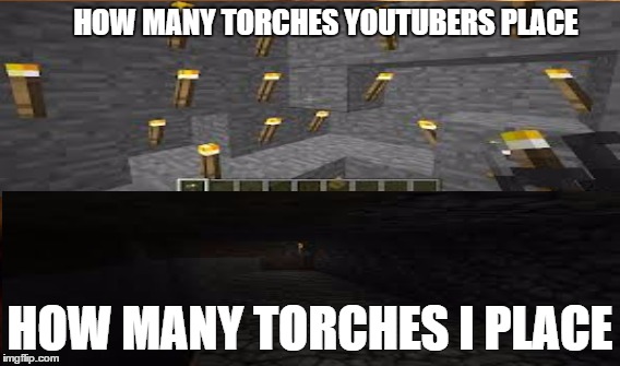 torchy | HOW MANY TORCHES YOUTUBERS PLACE HOW MANY TORCHES I PLACE | image tagged in youtubers,minecraft,torches | made w/ Imgflip meme maker