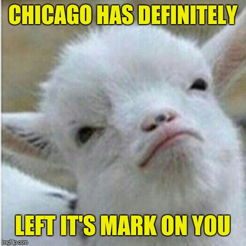 CHICAGO HAS DEFINITELY LEFT IT'S MARK ON YOU | made w/ Imgflip meme maker