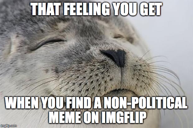 Satisfied Seal | THAT FEELING YOU GET WHEN YOU FIND A NON-POLITICAL MEME ON IMGFLIP | image tagged in memes,satisfied seal | made w/ Imgflip meme maker