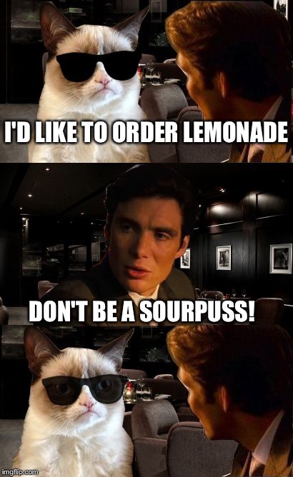 Grumpy orders the wrong thing | I'D LIKE TO ORDER LEMONADE DON'T BE A SOURPUSS! | image tagged in inception,grumpy cat | made w/ Imgflip meme maker