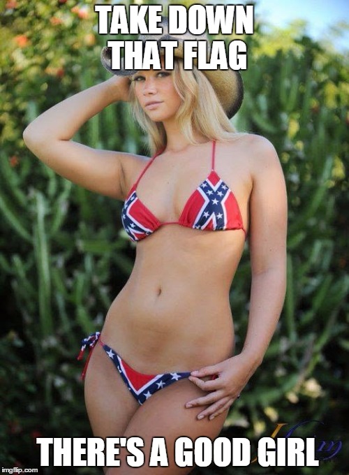 Confederate Bikini | TAKE DOWN THAT FLAG THERE'S A GOOD GIRL | image tagged in confederate bikini | made w/ Imgflip meme maker