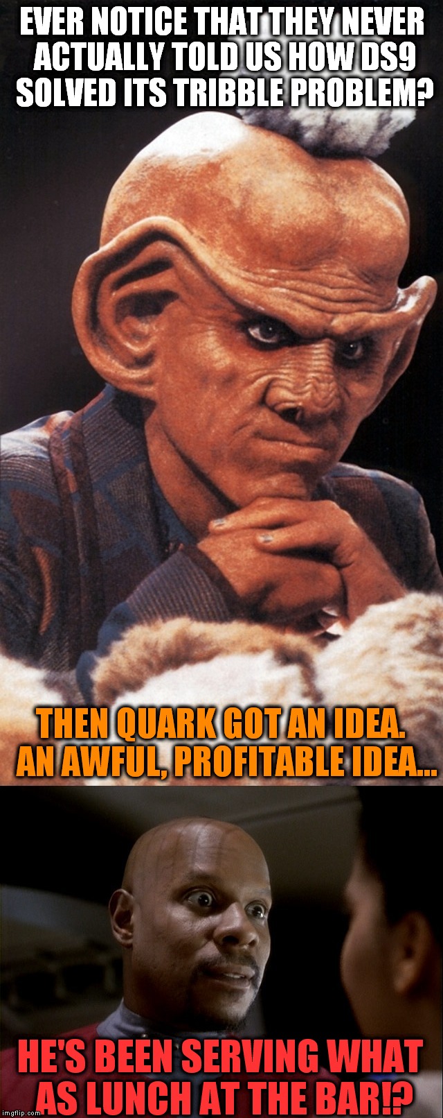 Quark Lunch | EVER NOTICE THAT THEY NEVER ACTUALLY TOLD US HOW DS9 SOLVED ITS TRIBBLE PROBLEM? THEN QUARK GOT AN IDEA.  AN AWFUL, PROFITABLE IDEA... HE'S  | image tagged in star trek,tribbles | made w/ Imgflip meme maker