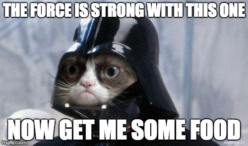Grumpy Cat Star Wars Meme | THE FORCE IS STRONG WITH THIS ONE NOW GET ME SOME FOOD | image tagged in memes,grumpy cat star wars,grumpy cat | made w/ Imgflip meme maker