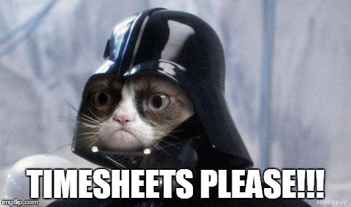 Grumpy Cat Star Wars Meme | TIMESHEETS PLEASE!!! | image tagged in memes,grumpy cat star wars,grumpy cat | made w/ Imgflip meme maker