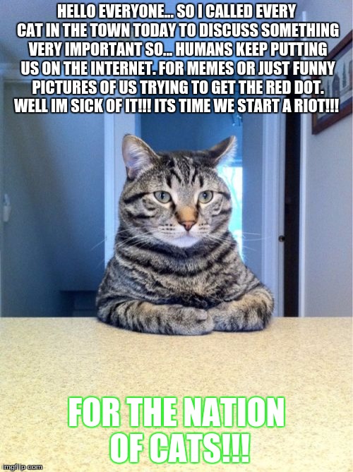 Take A Seat Cat | HELLO EVERYONE... SO I CALLED EVERY CAT IN THE TOWN TODAY TO DISCUSS SOMETHING VERY IMPORTANT SO... HUMANS KEEP PUTTING US ON THE INTERNET.  | image tagged in memes,take a seat cat | made w/ Imgflip meme maker