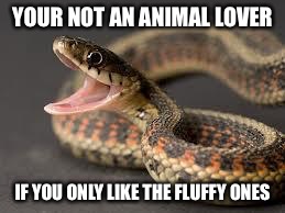 Animal lover | YOUR NOT AN ANIMAL LOVER IF YOU ONLY LIKE THE FLUFFY ONES | image tagged in warning snake,animals | made w/ Imgflip meme maker